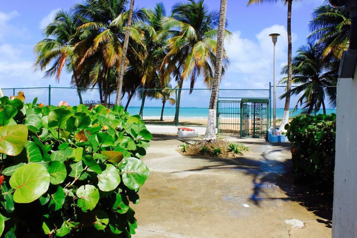 2Br Gem Ocean Front Building Isla Verde Beach San Juan Bagian luar foto